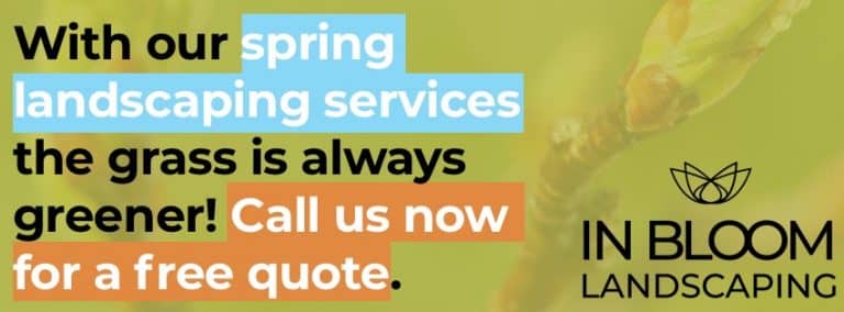 Spring Toronto Landscaping Services