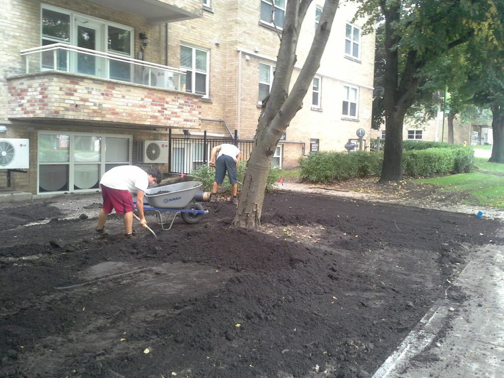 Sod Installation Soil Prep Work